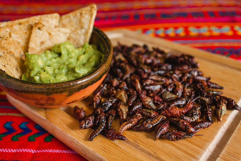 Comida Mexicana Inusual Para Probar Cuando Visites México