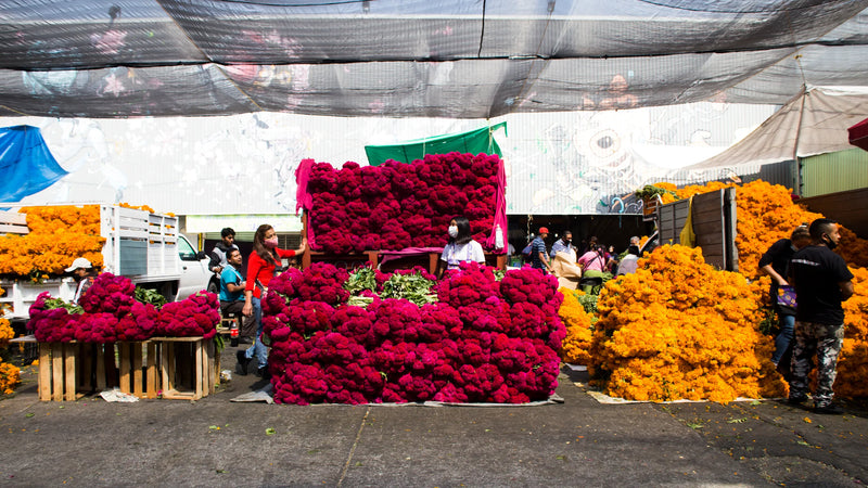 Markets as Living Heritage: Exploring Mexico’s Fruit Markets